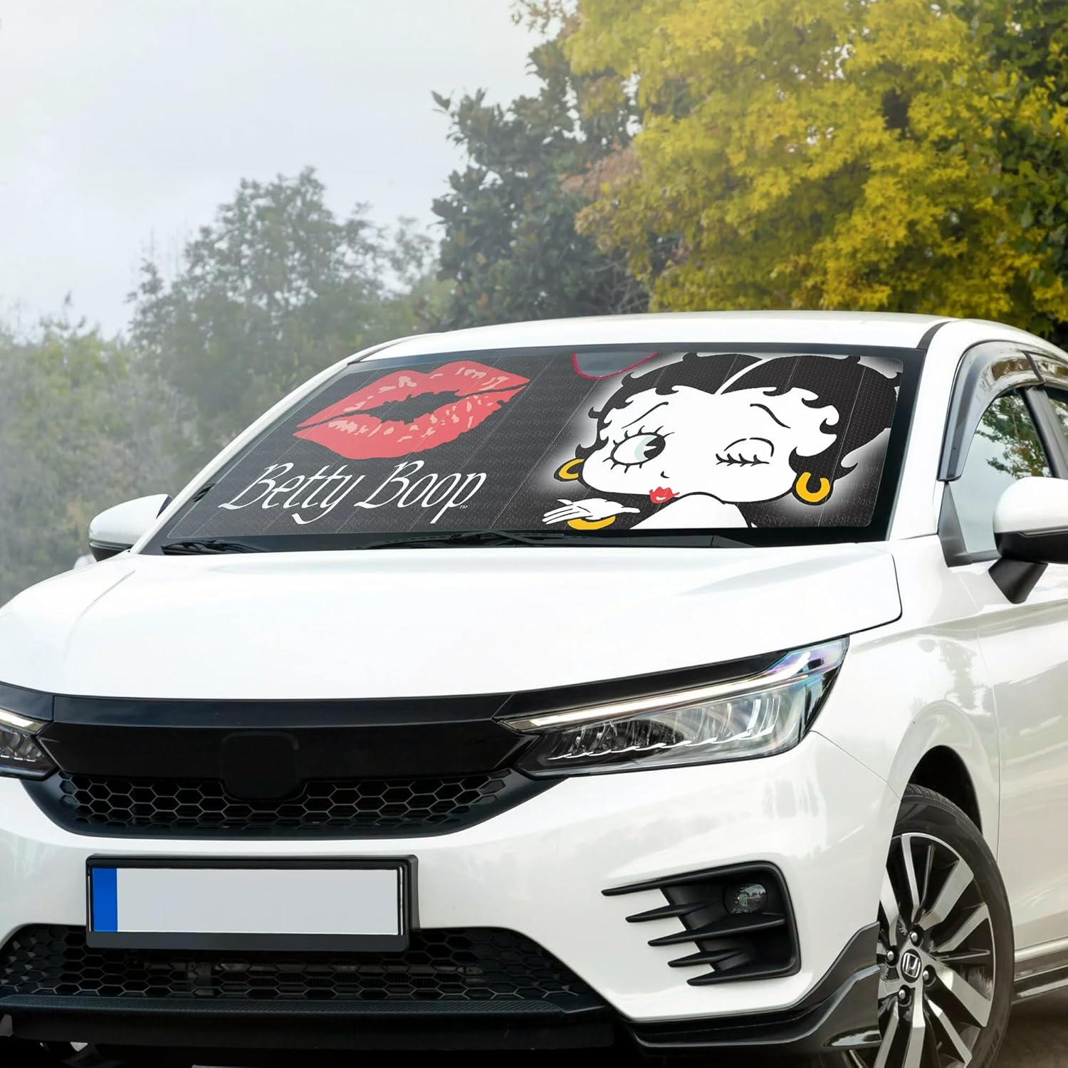 Platicolors Betty Boop Timeless Design Car Accessories Bundle Set New Seat Covers, Front and Rear Rubber Mats, Steering Wheel Cover Sun Shade Air FreshenerProtection for Cars SUVs Trucks & Vans - Yupbizauto